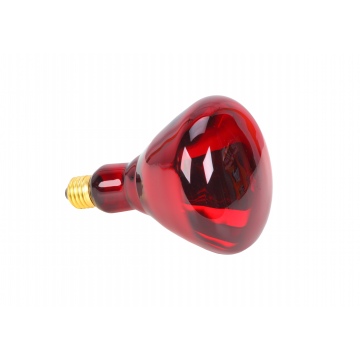 Infra-red Brooder Bulb