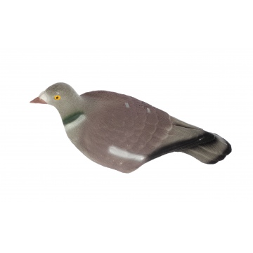 Flock Coated Shell Pigeon
